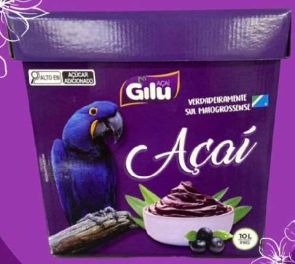 GILU TRADICIONAL 10 LT