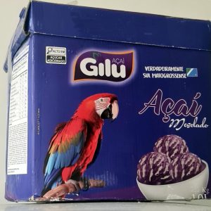 AÇAI CON GRIEGO GILU 10 LT